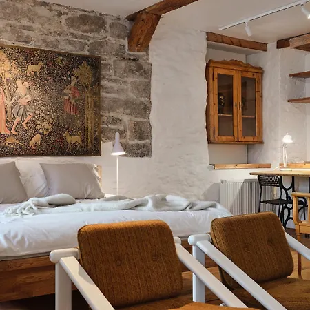 Historic With Private Garden In Old Town Tallinn